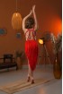 Professional bellydance costume (Classic 401A_1)